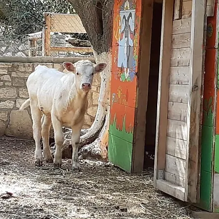 Szálloda Valle D'oro *