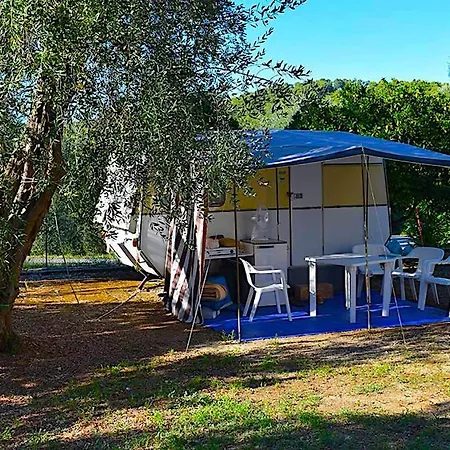 Valle D'oro *